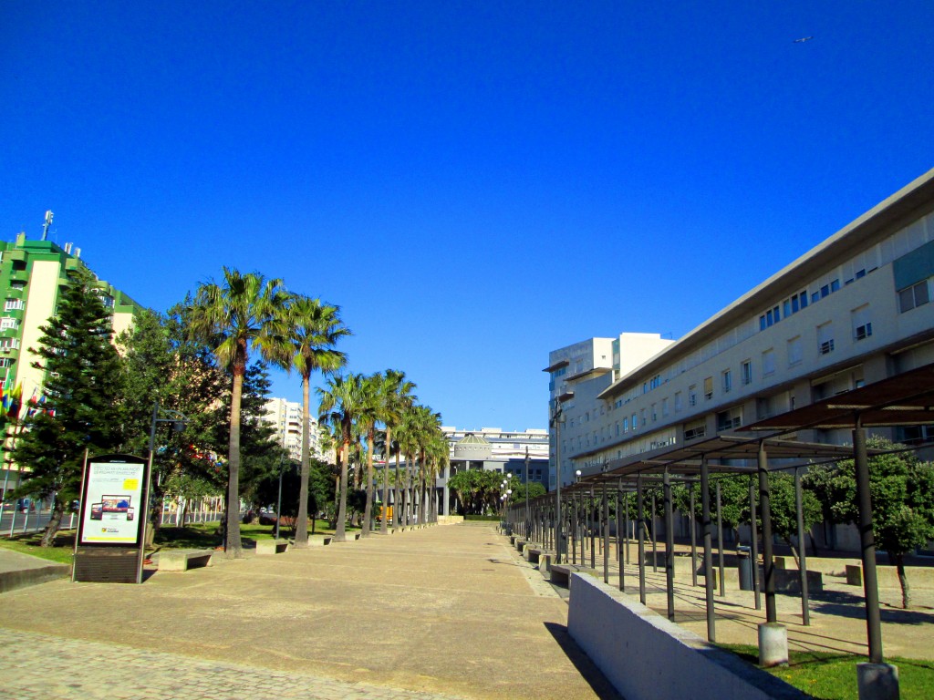 Foto: Paseo en José León de Carranza - Cádiz (Andalucía), España