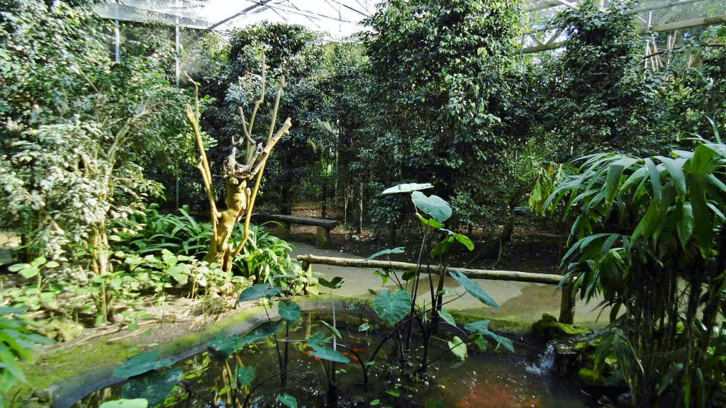 Foto: Butterfly Park - Castelló d´Empuries (Girona), España