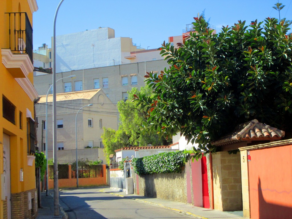 Foto: Calle Pintor Ribera - Cádiz (Andalucía), España