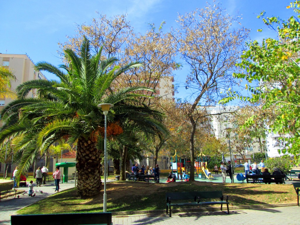 Foto: Plaza Reina Sofia - Cádiz (Andalucía), España