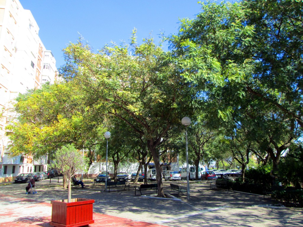 Foto: Loreto - Cádiz (Andalucía), España