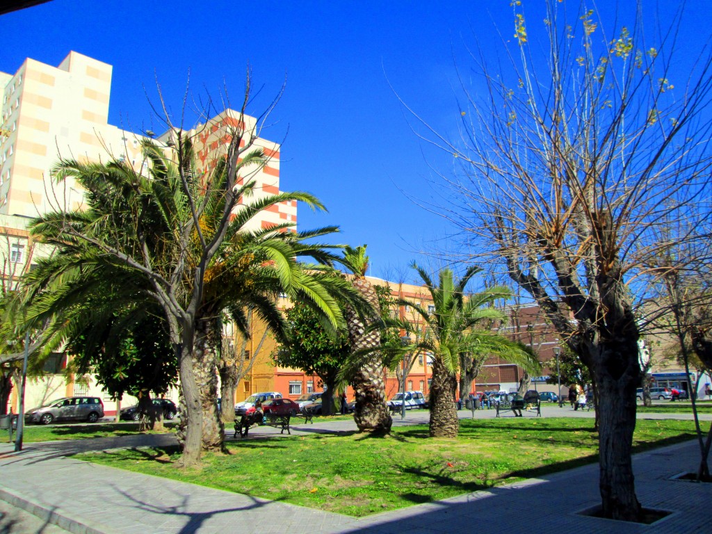 Foto: Plaza Maestro Escobar - Cádiz (Andalucía), España