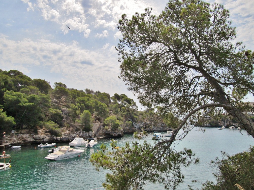 Foto: Cala Figuera - Santany (Mallorca) (Illes Balears), España