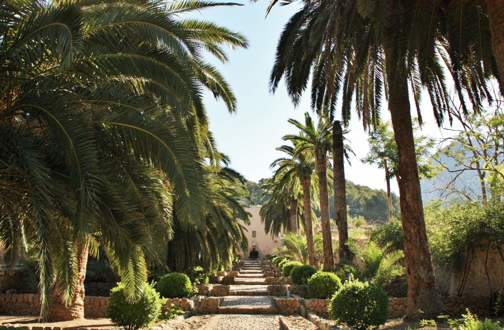 Foto: Jardines de Alfabia - Buñola (Mallorca) (Illes Balears), España