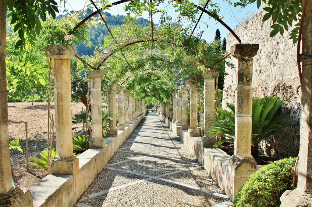 Foto: Jardines de Alfabia - Buñola (Mallorca) (Illes Balears), España