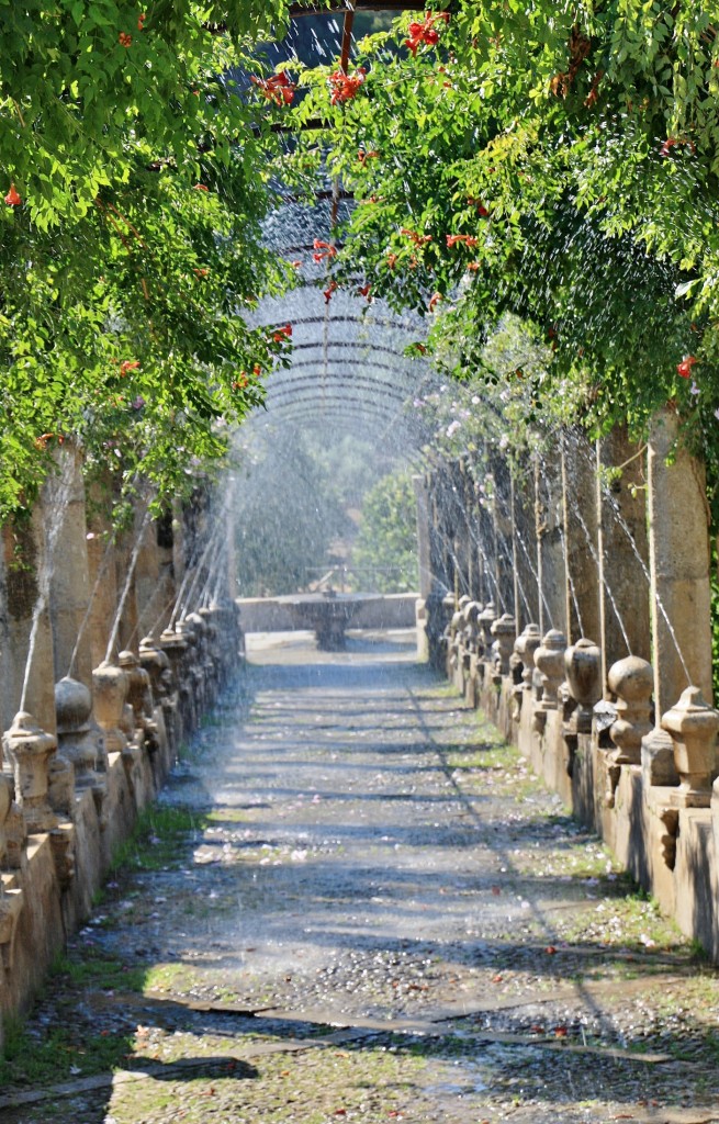 Foto: Jardines de Alfabia - Buñola (Mallorca) (Illes Balears), España