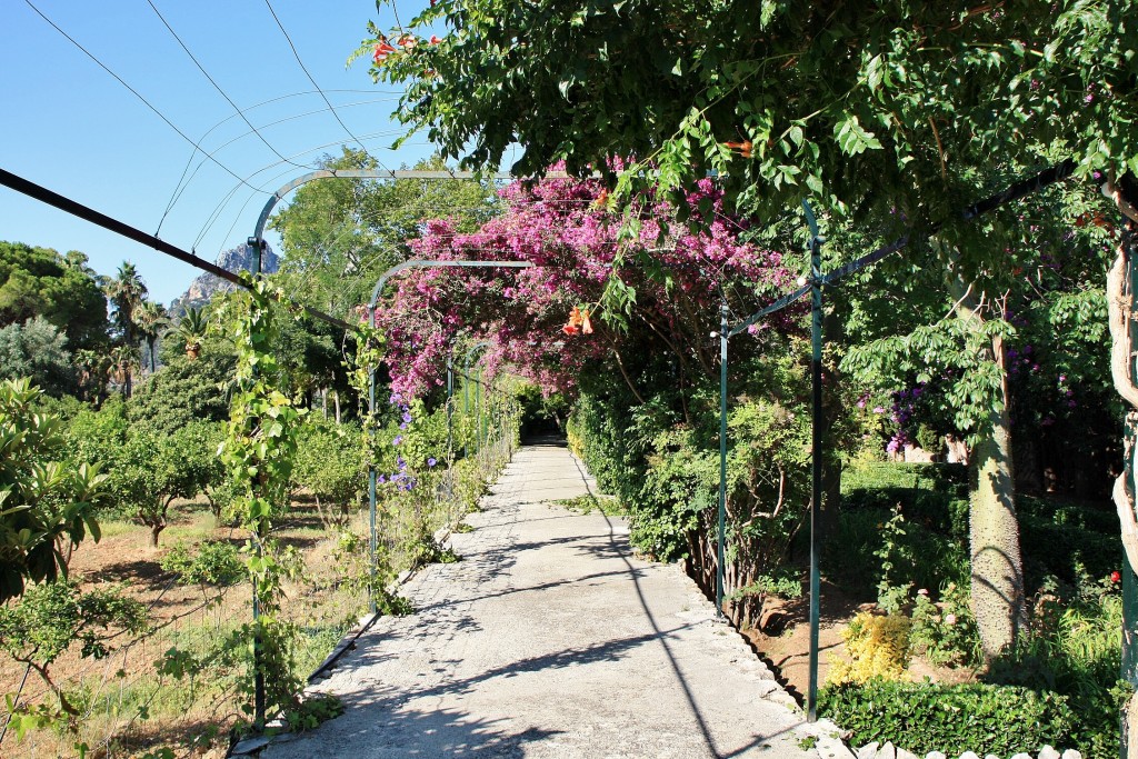 Foto: Jardines de Alfabia - Buñola (Mallorca) (Illes Balears), España