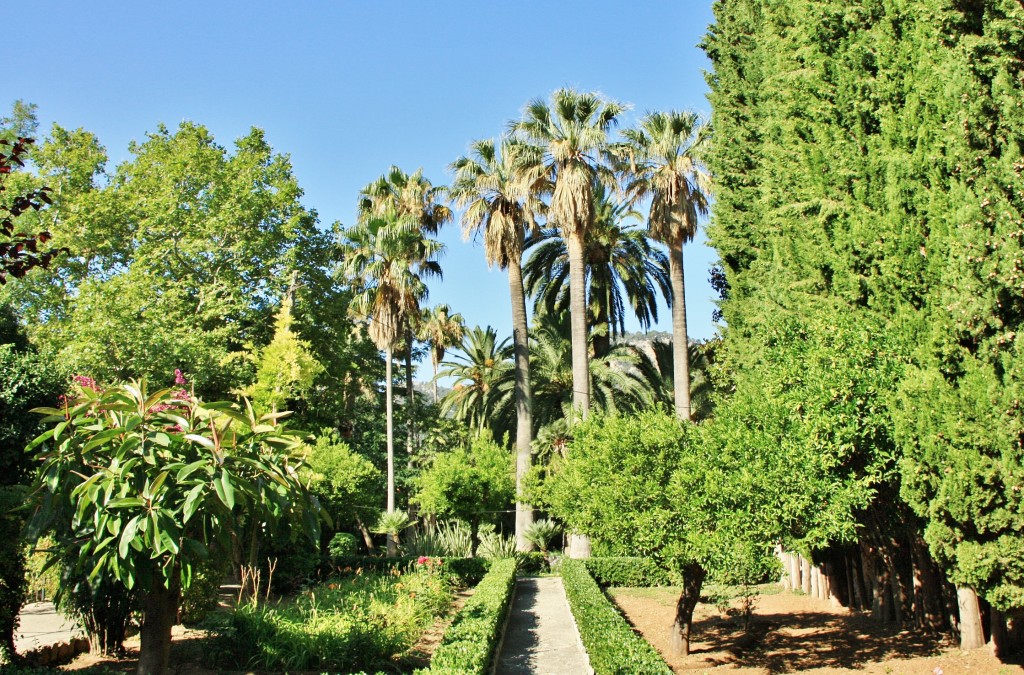 Foto: Jardines de Alfabia - Buñola (Mallorca) (Illes Balears), España