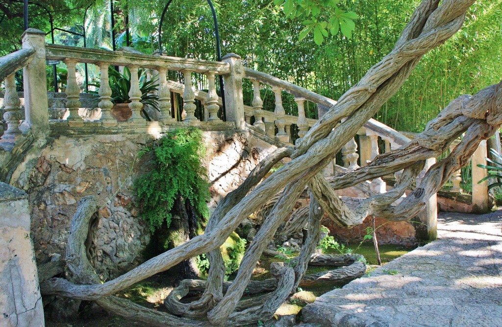 Foto: Jardines Alfabia - Buñola (Mallorca) (Illes Balears), España