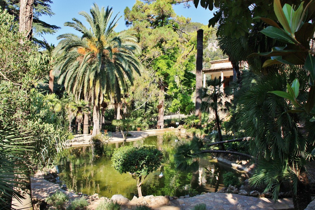 Foto: Jardines Alfabia - Buñola (Mallorca) (Illes Balears), España