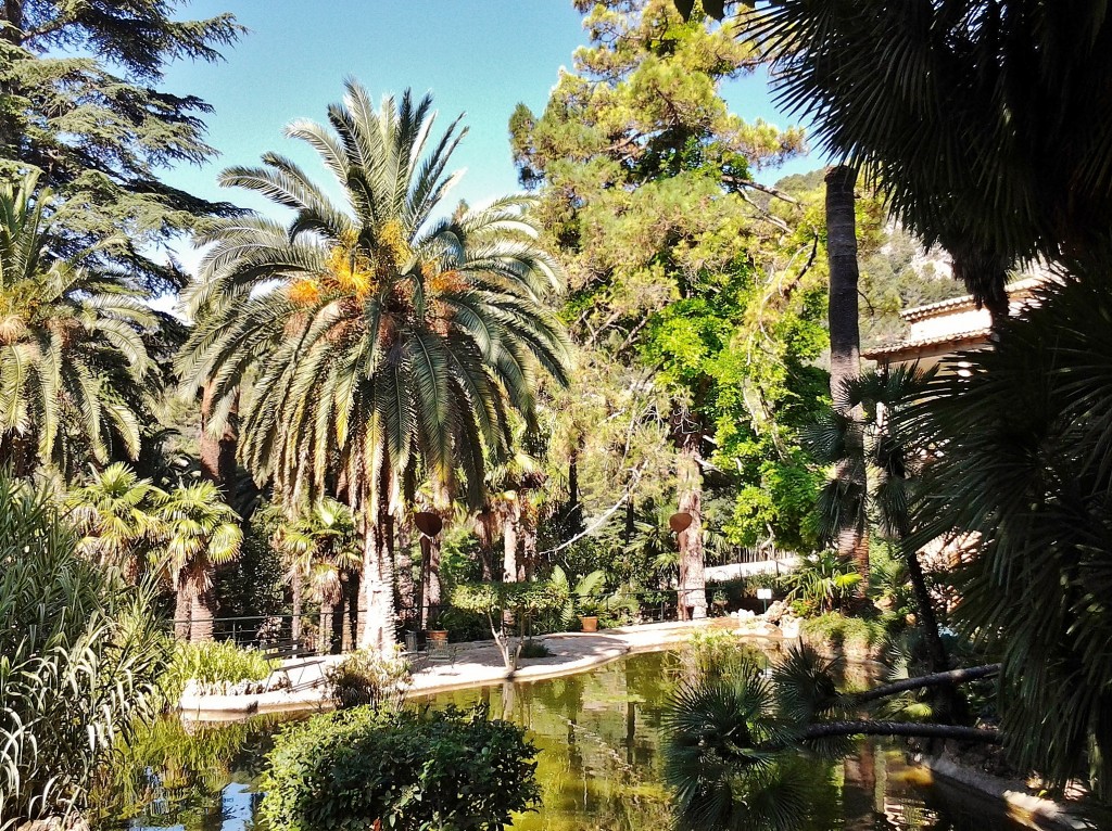 Foto: Jardines Alfabia - Buñola (Mallorca) (Illes Balears), España