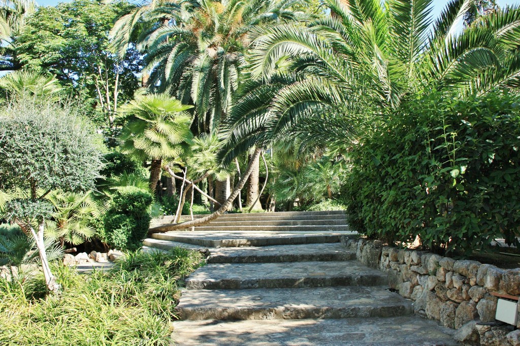 Foto: Jardines Alfabia - Buñola (Mallorca) (Illes Balears), España