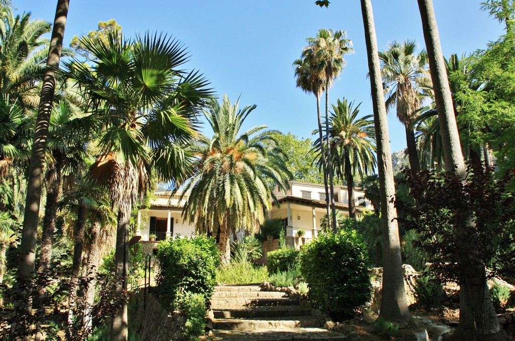 Foto: Jardines Alfabia - Buñola (Mallorca) (Illes Balears), España