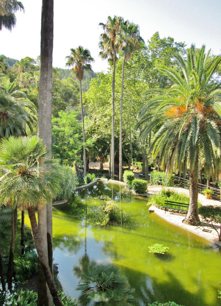 Foto: Jardines Alfabia - Buñola (Mallorca) (Illes Balears), España