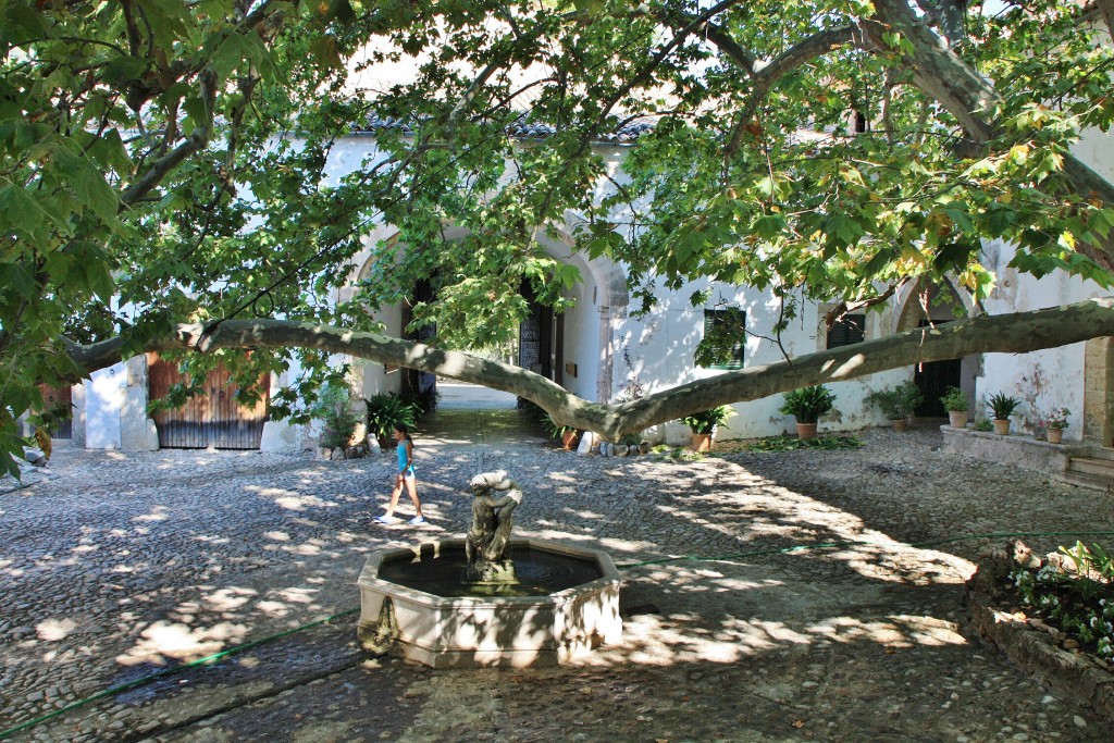 Foto: Jardines Alfabia - Buñola (Mallorca) (Illes Balears), España