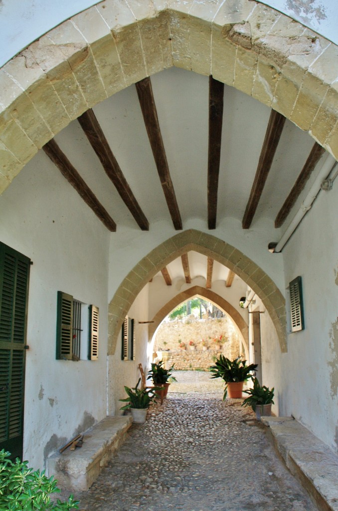 Foto: Jardines Alfabia - Buñola (Mallorca) (Illes Balears), España