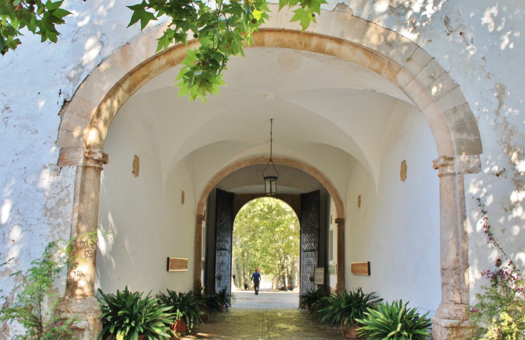 Foto: Jardines Alfabia - Buñola (Mallorca) (Illes Balears), España