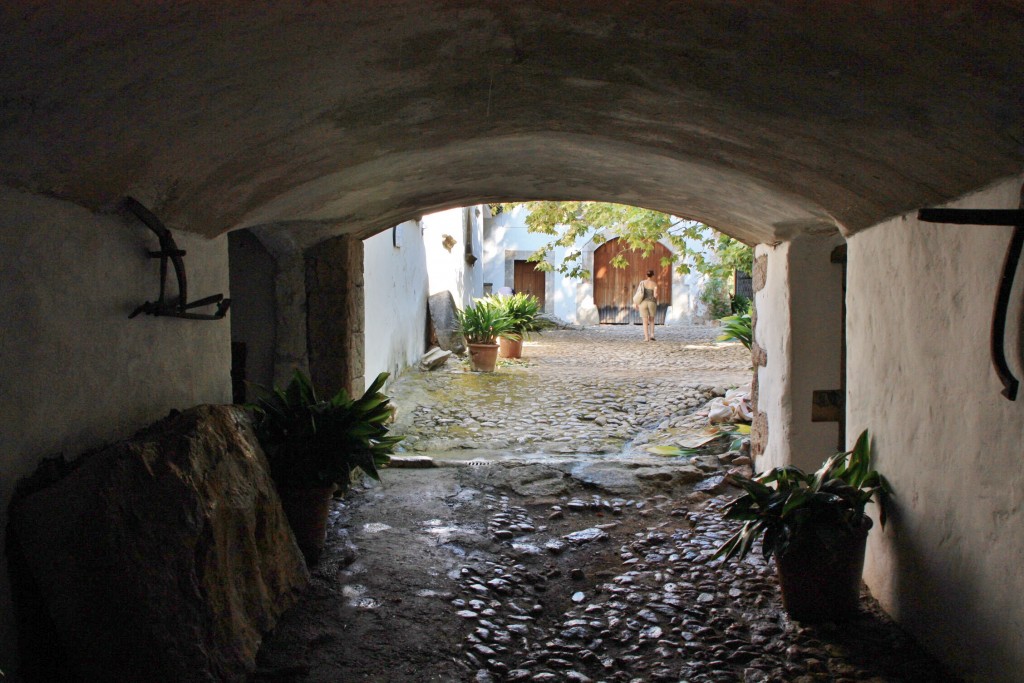 Foto: Jardines Alfabia - Buñola (Mallorca) (Illes Balears), España