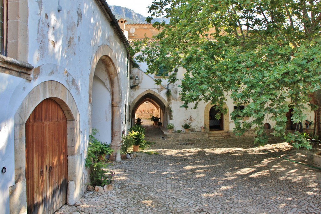 Foto: Jardines Alfabia - Buñola (Mallorca) (Illes Balears), España