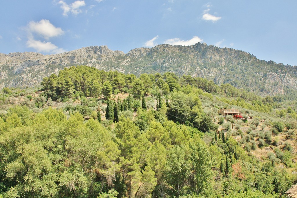 Foto: Vistas - Fornalutx  (Mallorca) (Illes Balears), España