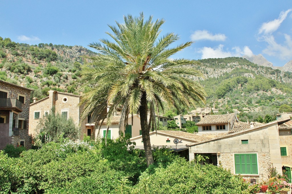 Foto: Centro histórico - Fornalutx  (Mallorca) (Illes Balears), España