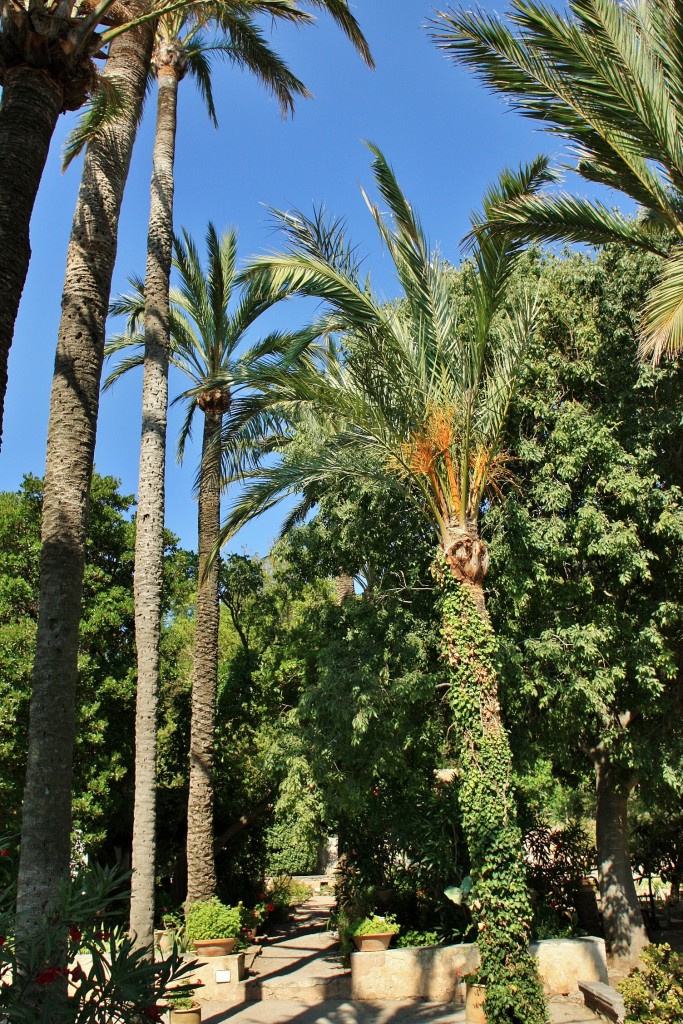 Foto: Son Marroig - Deyà (Mallorca) (Illes Balears), España