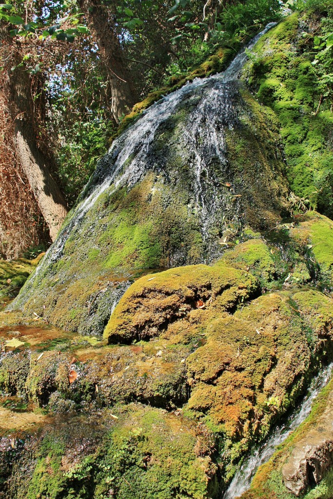 Foto: La Granja - Esporles (Mallorca) (Illes Balears), España