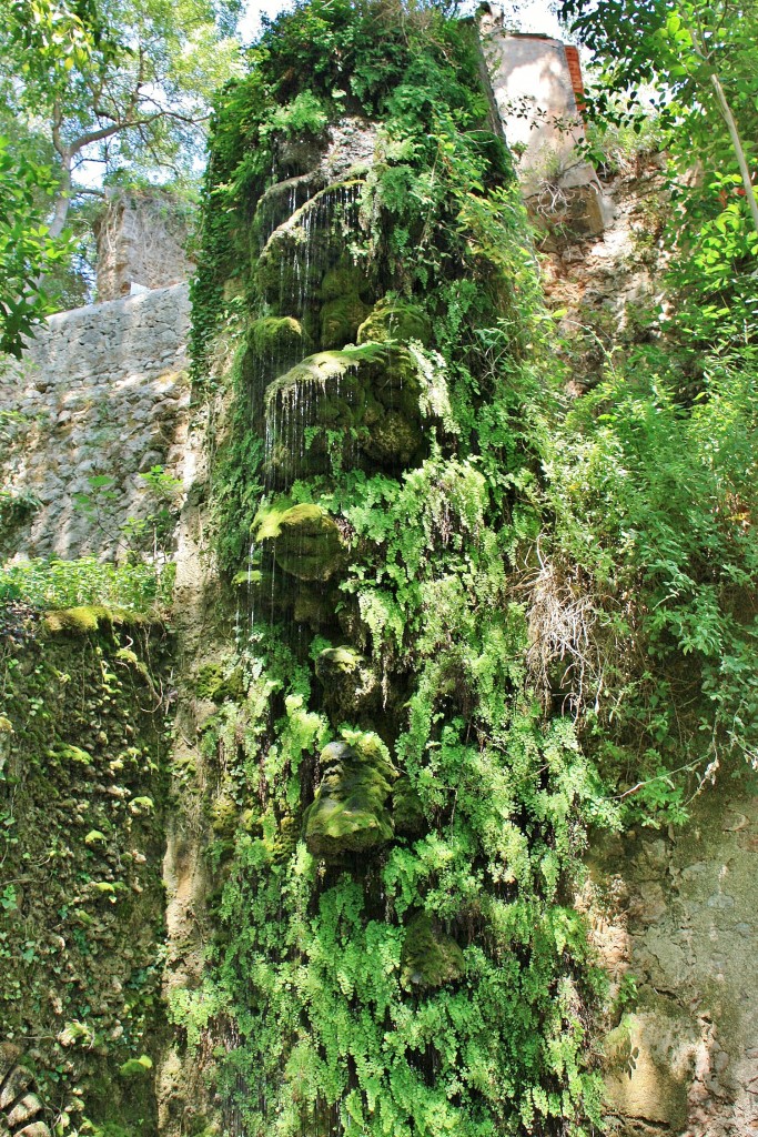 Foto: La Granja - Esporles (Mallorca) (Illes Balears), España