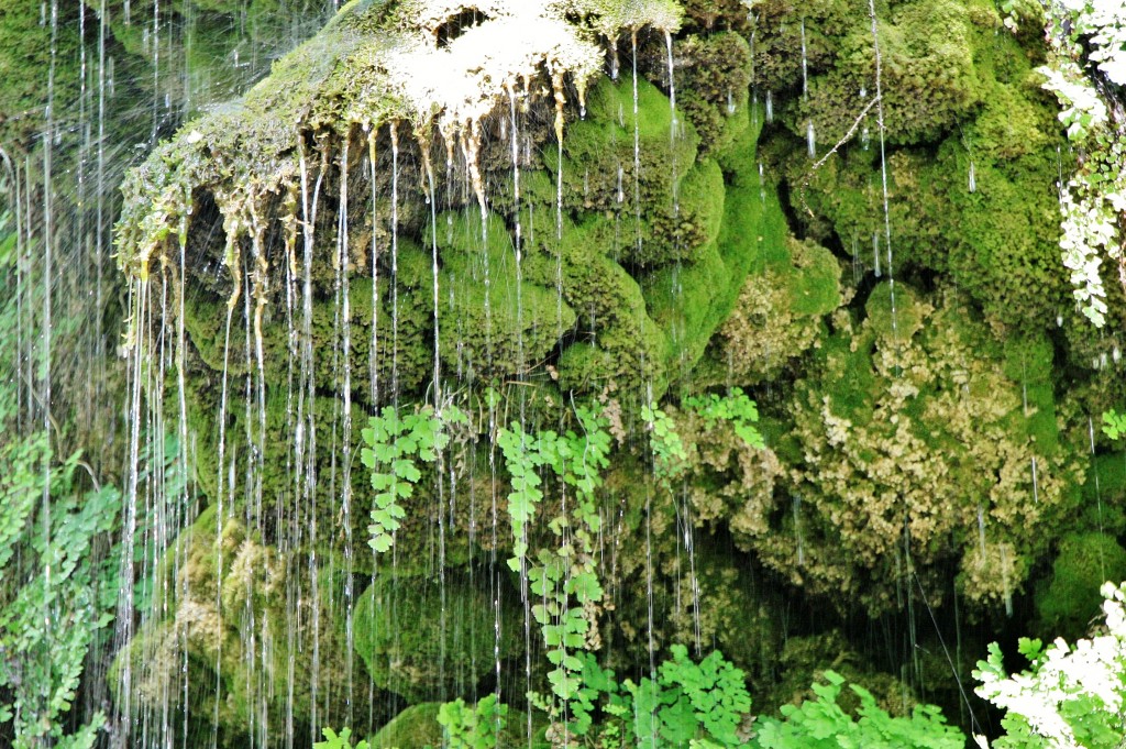 Foto: La Granja - Esporles (Mallorca) (Illes Balears), España