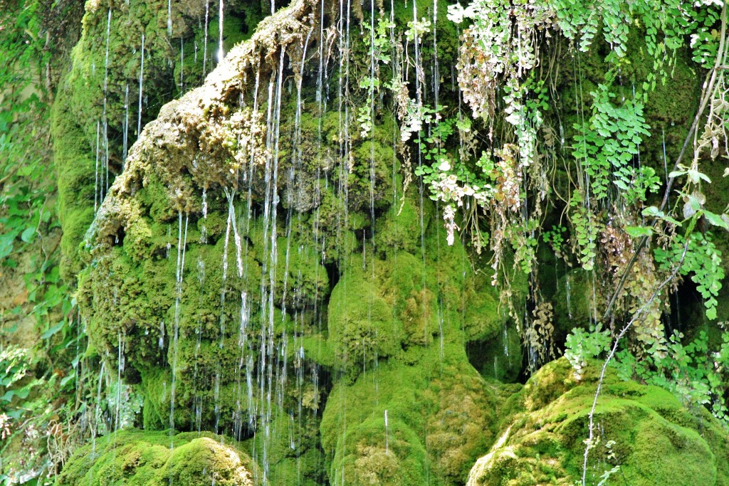 Foto: La Granja - Esporles (Mallorca) (Illes Balears), España