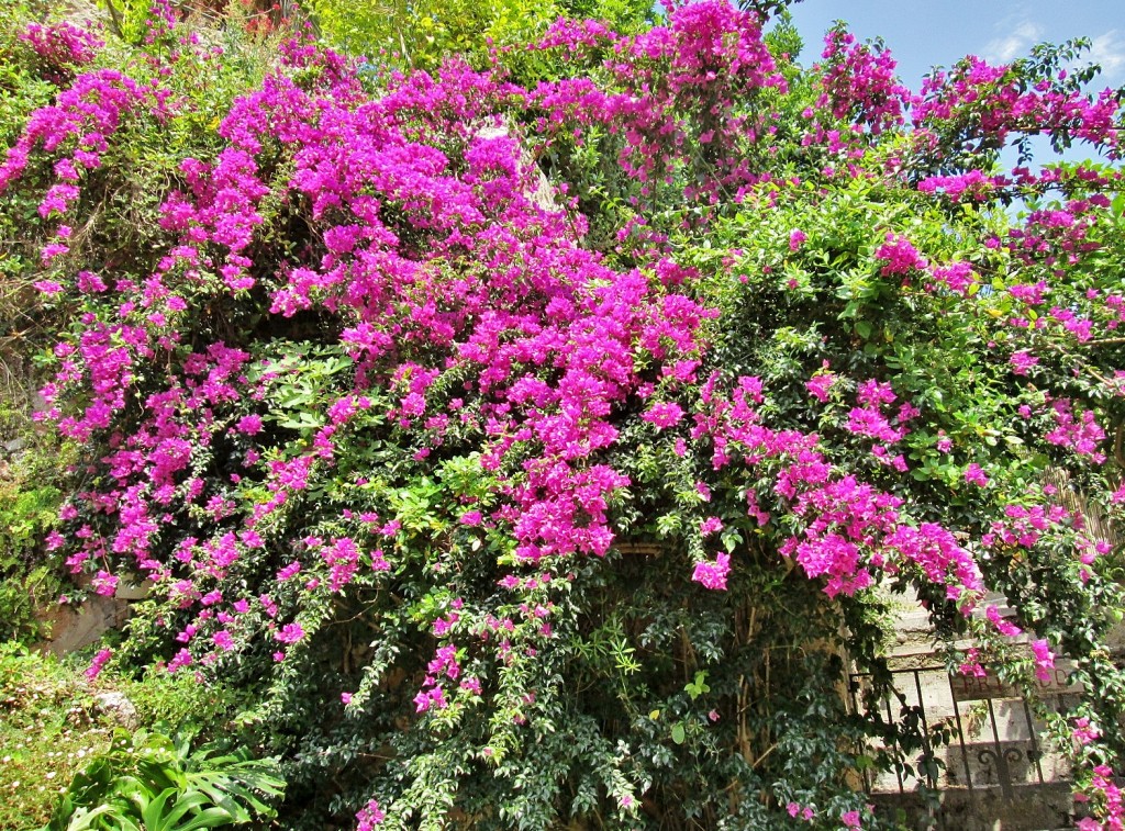 Foto: La Granja - Esporles (Mallorca) (Illes Balears), España