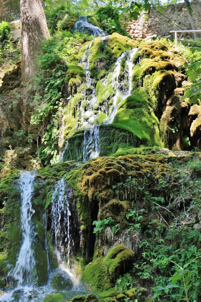 Foto: La Granja - Esporles (Mallorca) (Illes Balears), España