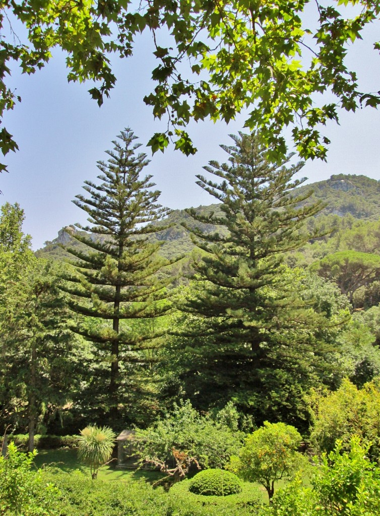 Foto: La Granja - Esporles (Mallorca) (Illes Balears), España