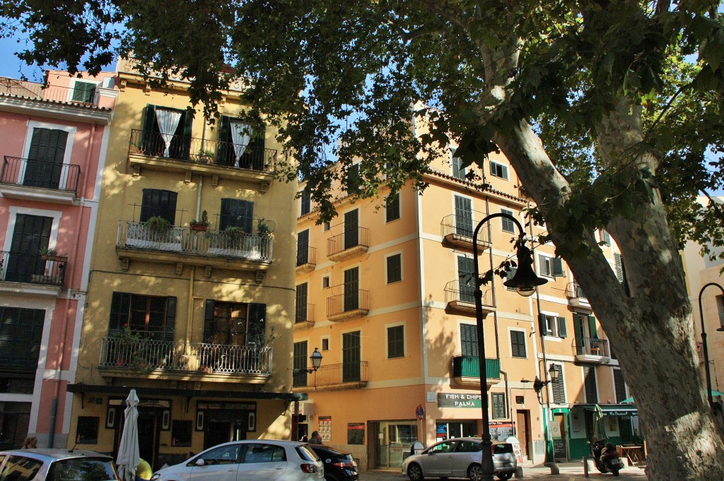 Foto: Centro histórico - Palma de Mallorca (Illes Balears), España