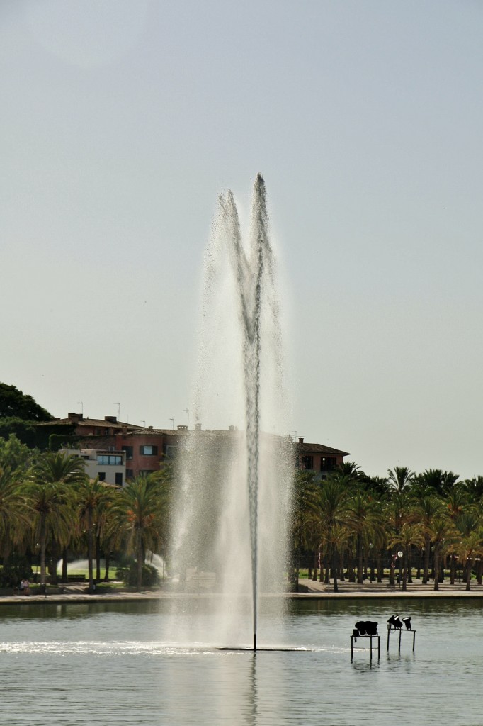 Foto: Centro histórico - Palma de Mallorca (Illes Balears), España