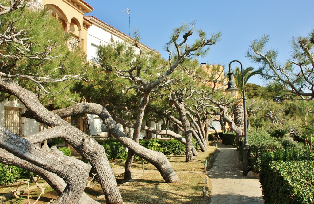 Foto: El Roc de Sant Gaietà - Roda de Berà (Tarragona), España