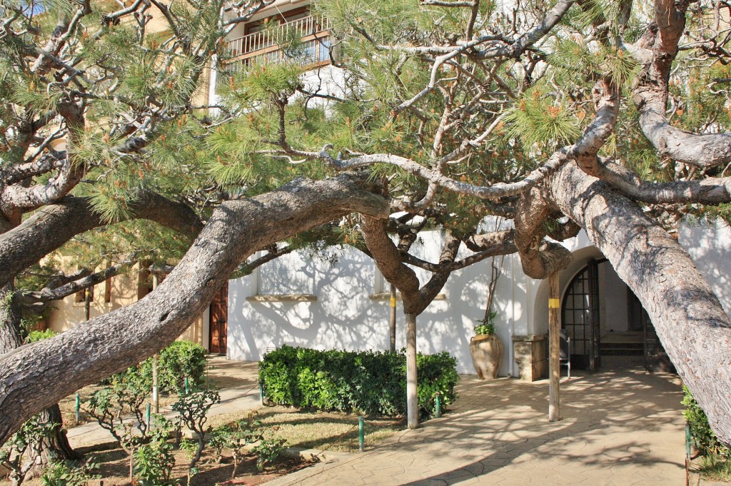 Foto: El Roc de Sant Gaietà - Roda de Berà (Tarragona), España