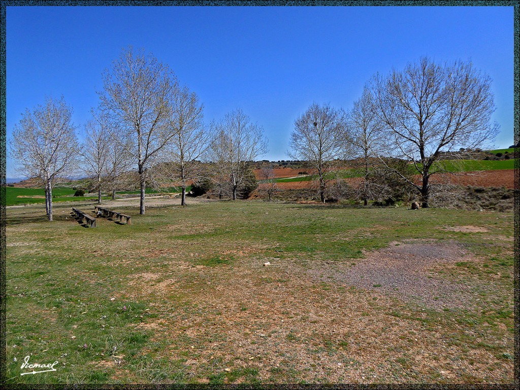 Foto: 150404-04 ALCONCHEL DE ARIZA - Alconchel De Ariza (Zaragoza), España