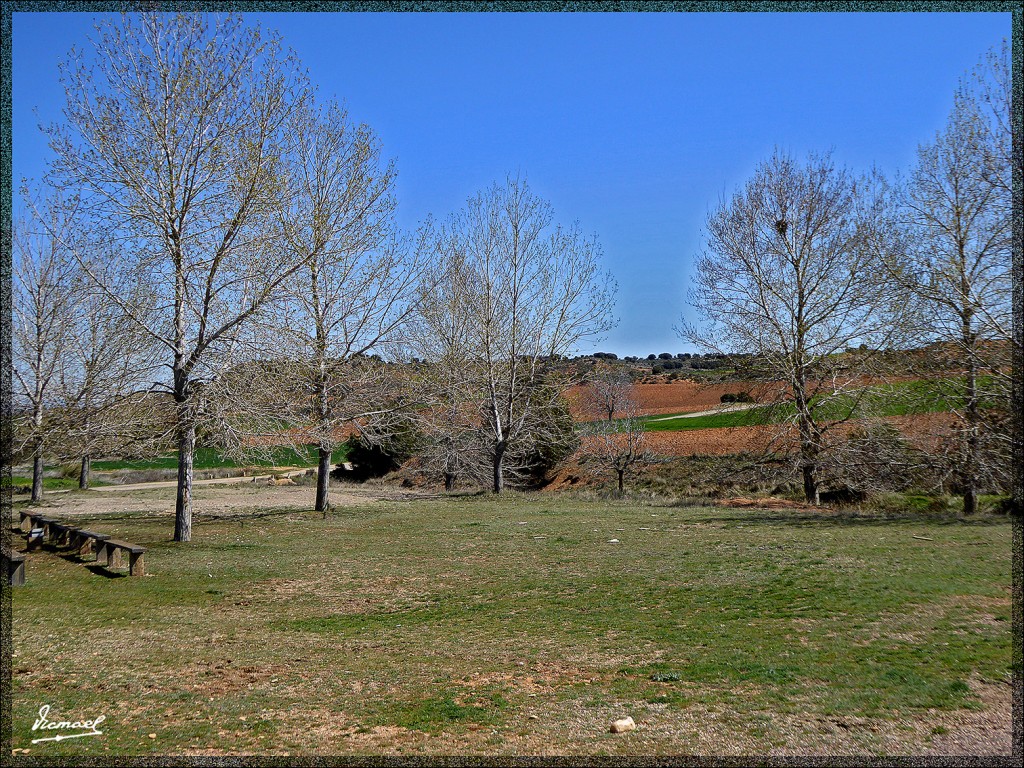 Foto: 150404-06 ALCONCHEL DE ARIZA - Alconchel De Ariza (Zaragoza), España