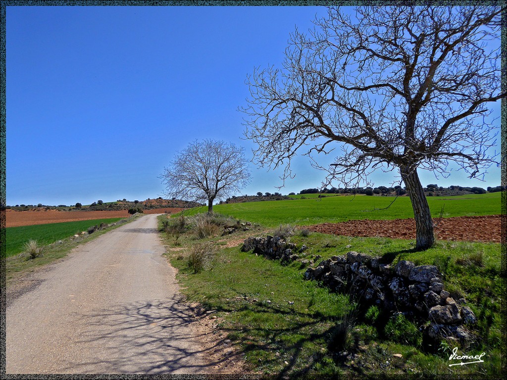 Foto: 150404-13 ALCONCHEL DE ARIZA - Alconchel De Ariza (Zaragoza), España