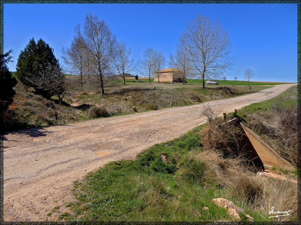 Foto: 150404-14 ALCONCHEL DE ARIZA - Alconchel De Ariza (Zaragoza), España