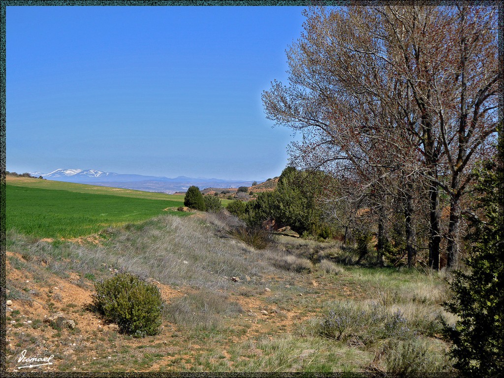 Foto: 150404-17 ALCONCHEL DE ARIZA - Alconchel De Ariza (Zaragoza), España