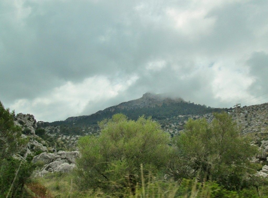 Foto: Paisaje - Escorca (Mallorca) (Illes Balears), España