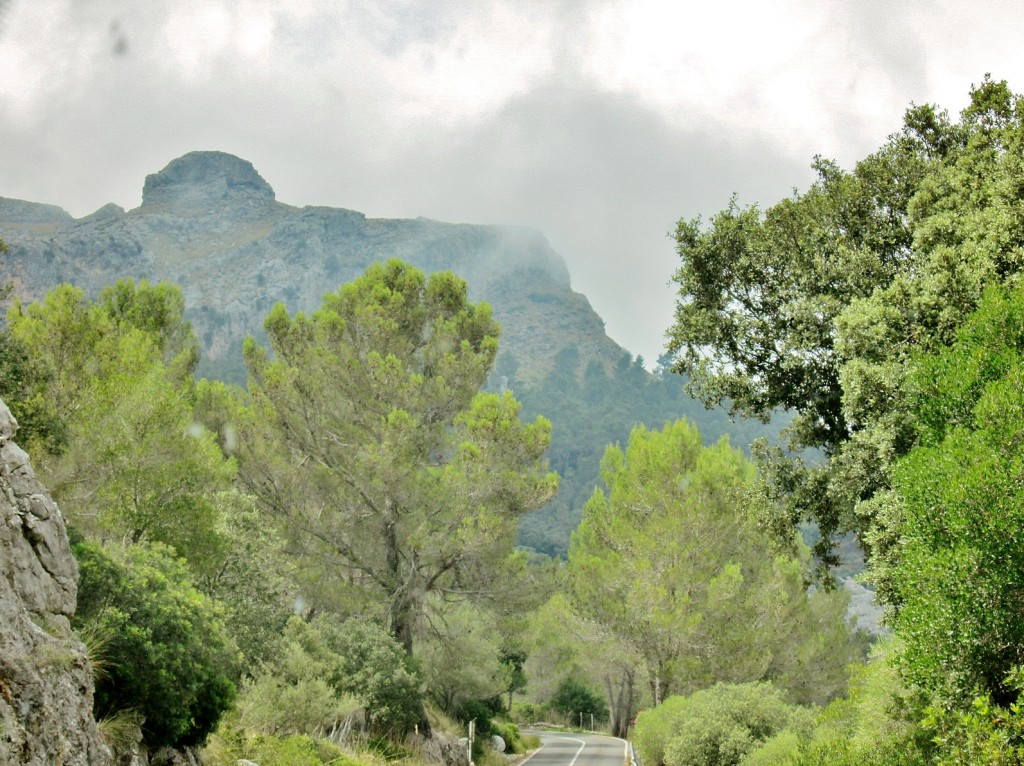 Foto: Paisaje - Escorca (Mallorca) (Illes Balears), España