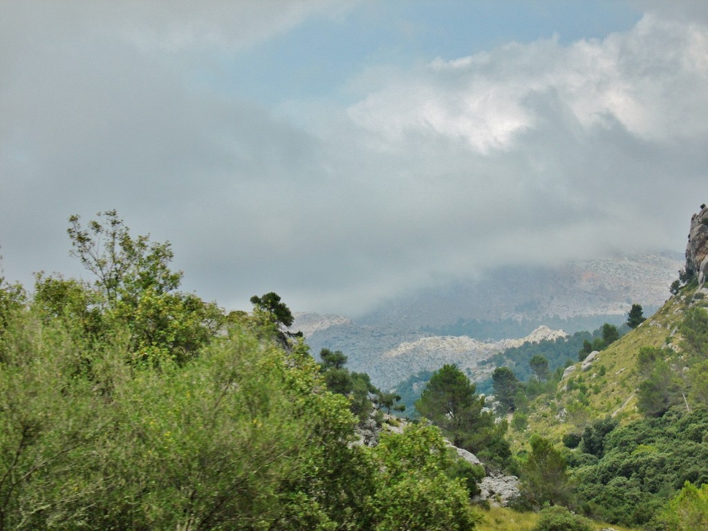 Foto: Paisaje - Escorca (Mallorca) (Illes Balears), España