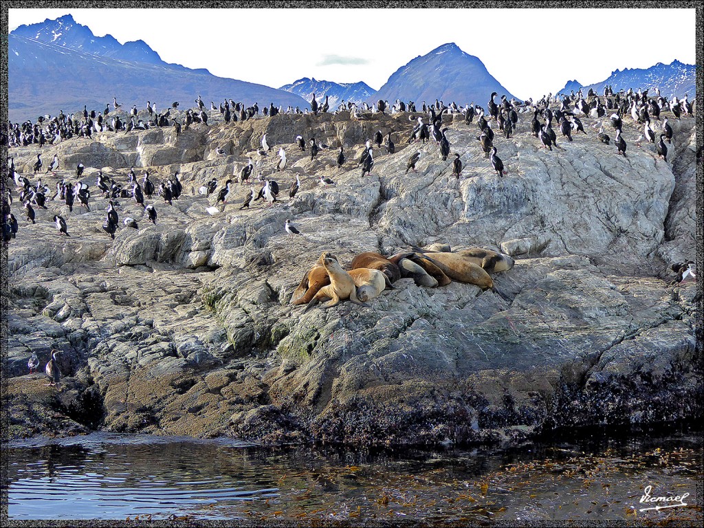 Foto de Ushuaia (Tierra del Fuego), Argentina