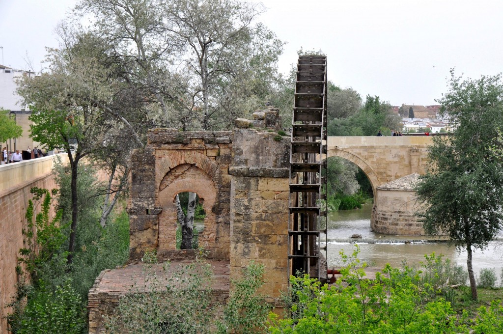 Foto: Noria en el Guadalquivir - Cordoba (Córdoba), España