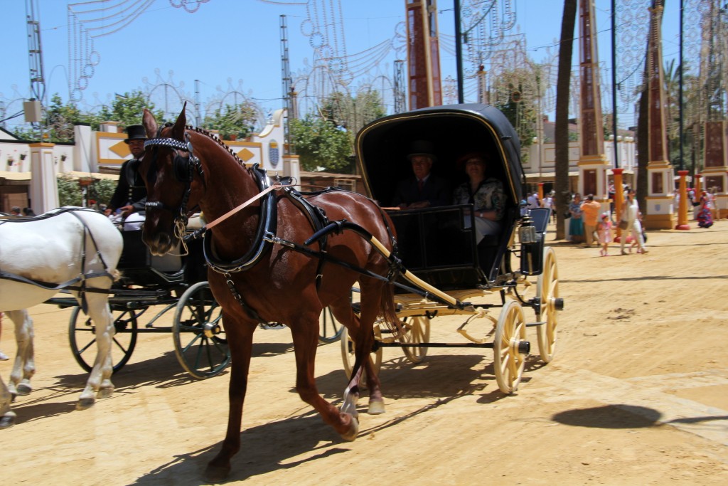 Foto de Jerez de la Frontera (Cádiz), España