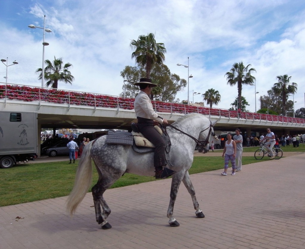 Foto: Dia de Andalucia en Valencia - Valencia (València), España