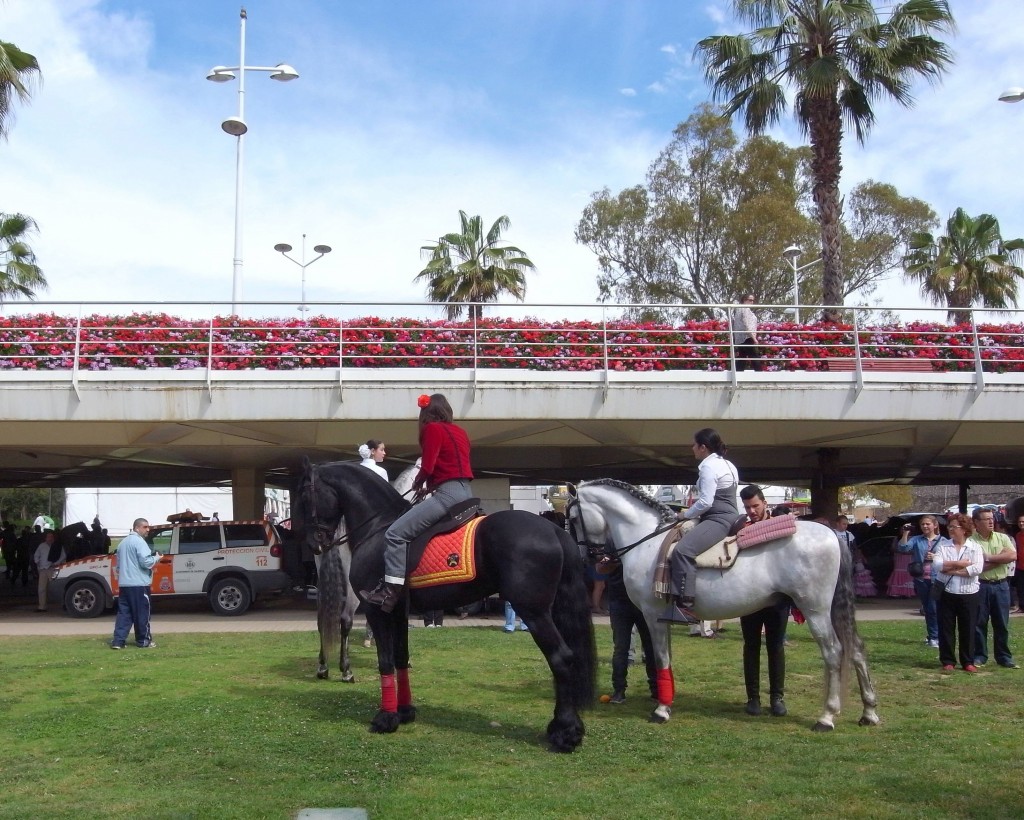 Foto: Dia de Andalucia en Valencia - Valencia (València), España